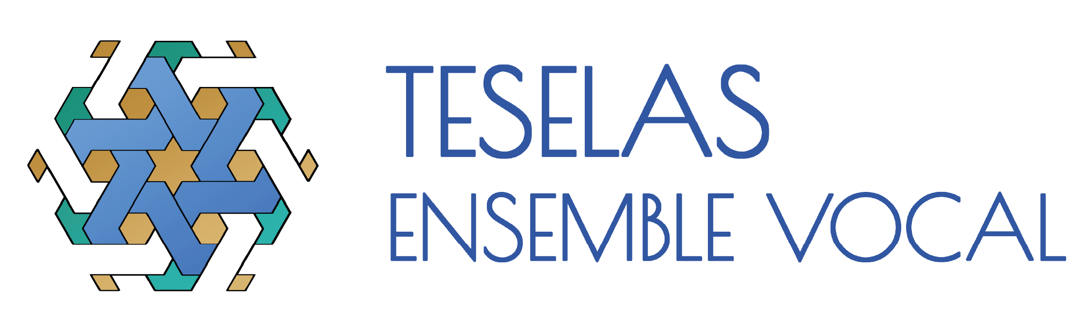 Logo Teselas
